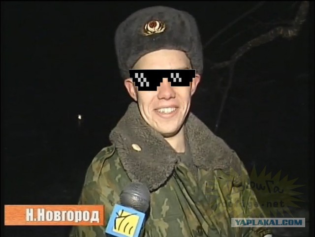 Шимпанзе шваркнуло током