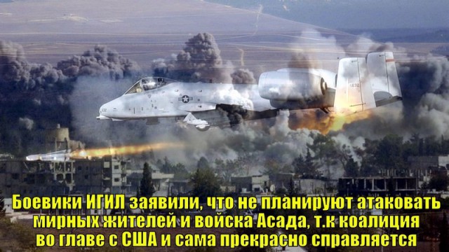 Год операции в Сирии. Цифры, факты, цитаты