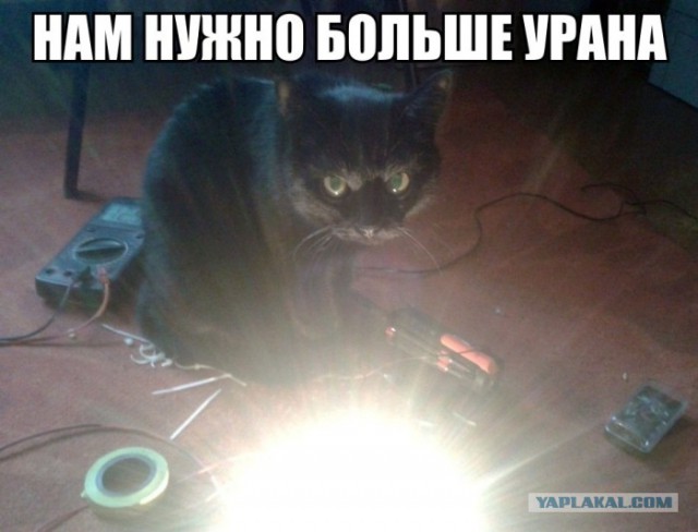Смешные картинки из сети на 27.10.16