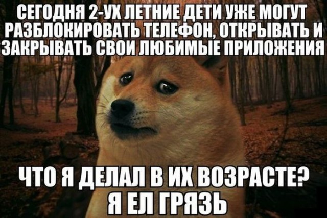 Картинки с букофками