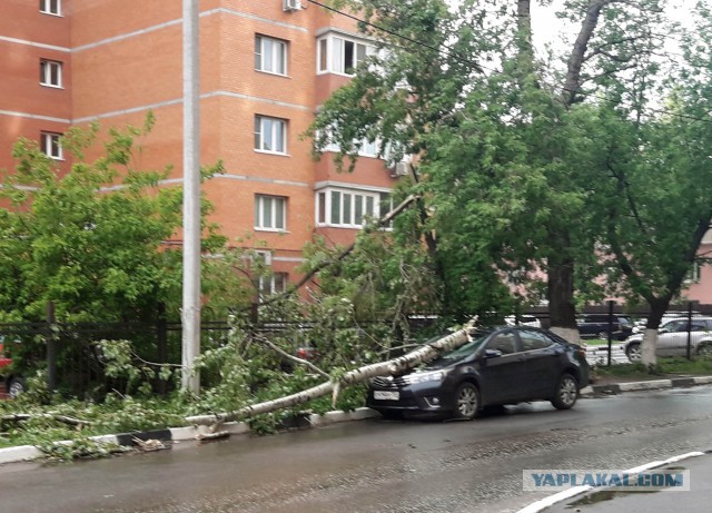 В Москве ураган!
