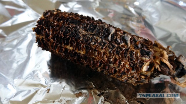 Кухня трубокура: трубка из кукурузного початка