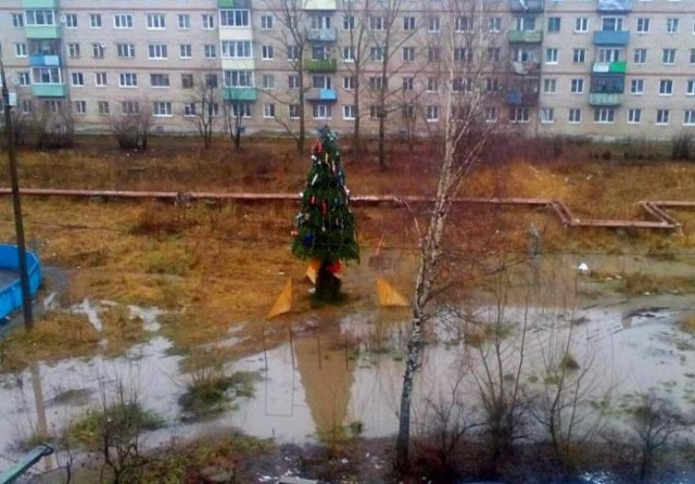 Картинки с подписями и без