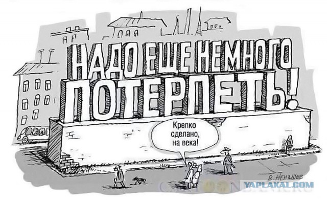 Как осудили хозяйку таксы