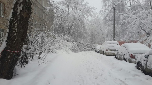 Снежный ад в Москве - большой фотоотчет
