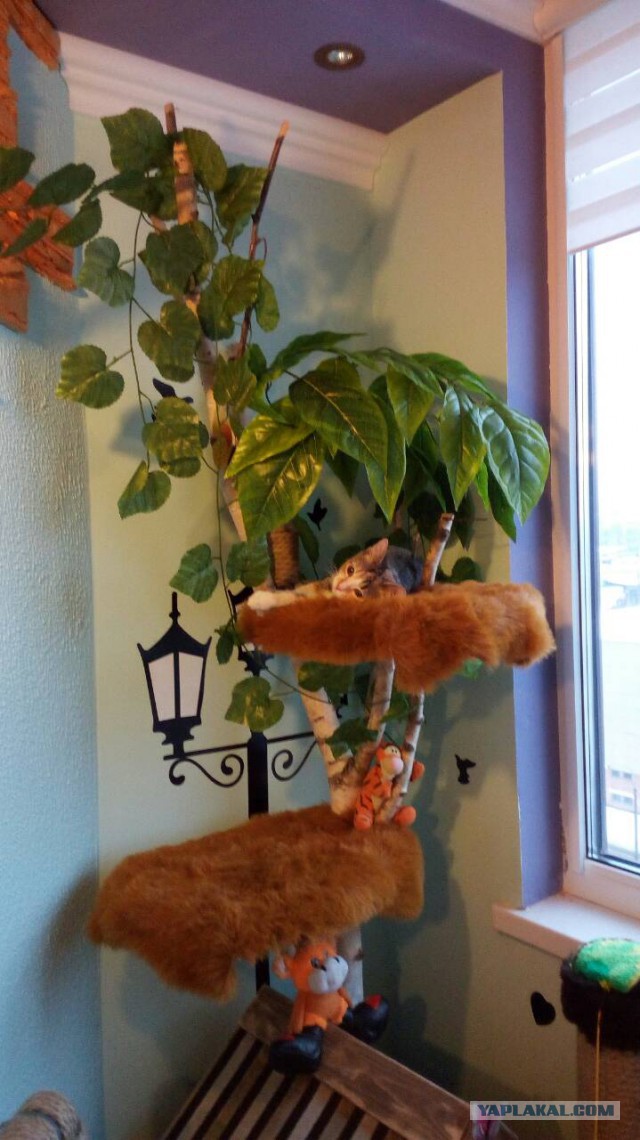 Котомайзинг