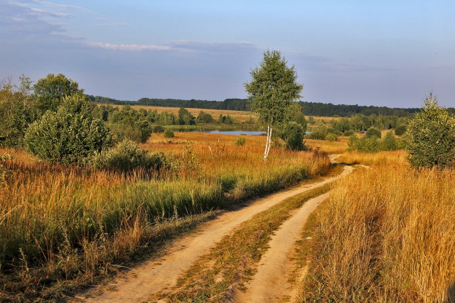 Красота сельских дорог