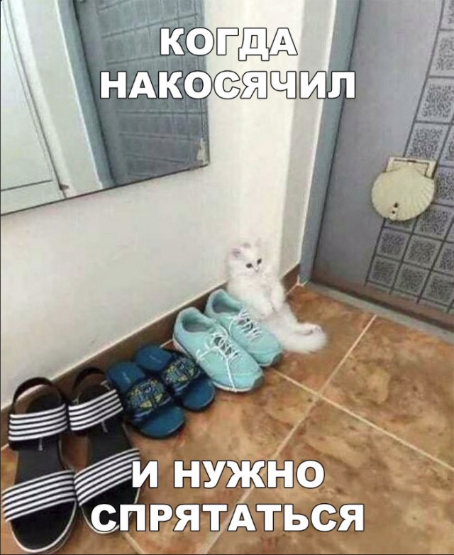 Нестандартный юмор