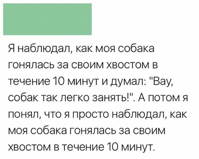 Анекдоты, соц-сети, истории и картинки с надписями