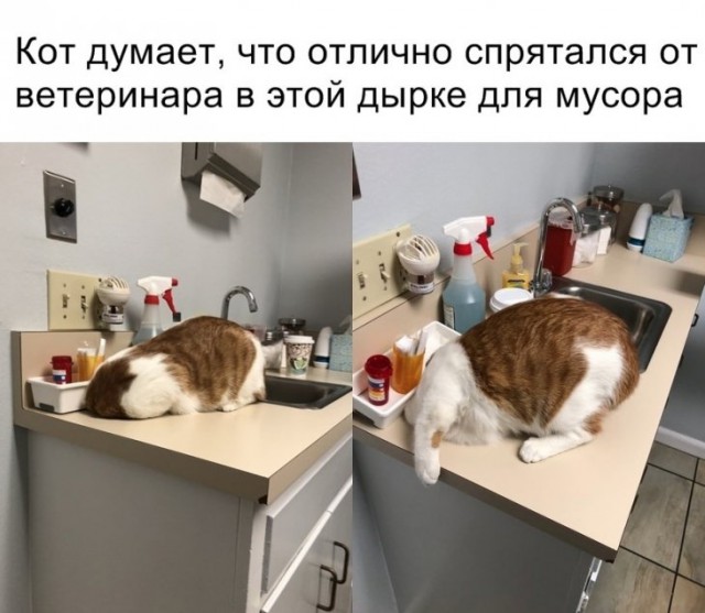 Немного картинок для настроения