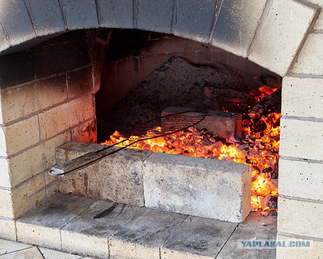 Стейк из хвостика на гриле (Пародия на пародию Пародии Апельсинии)