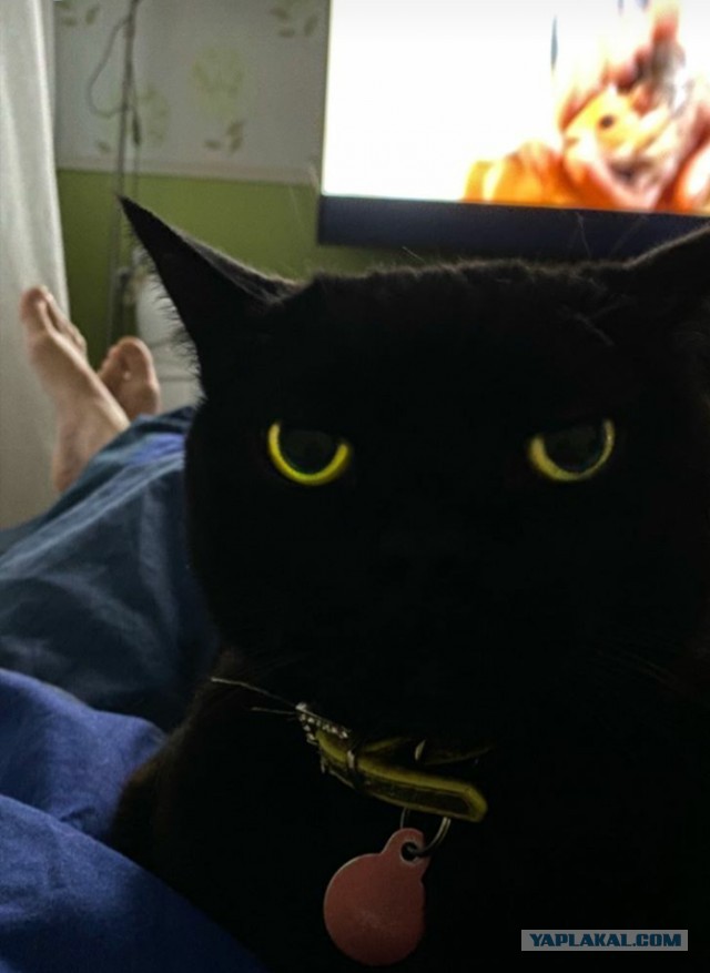 Paзнoвиднocти тьмы