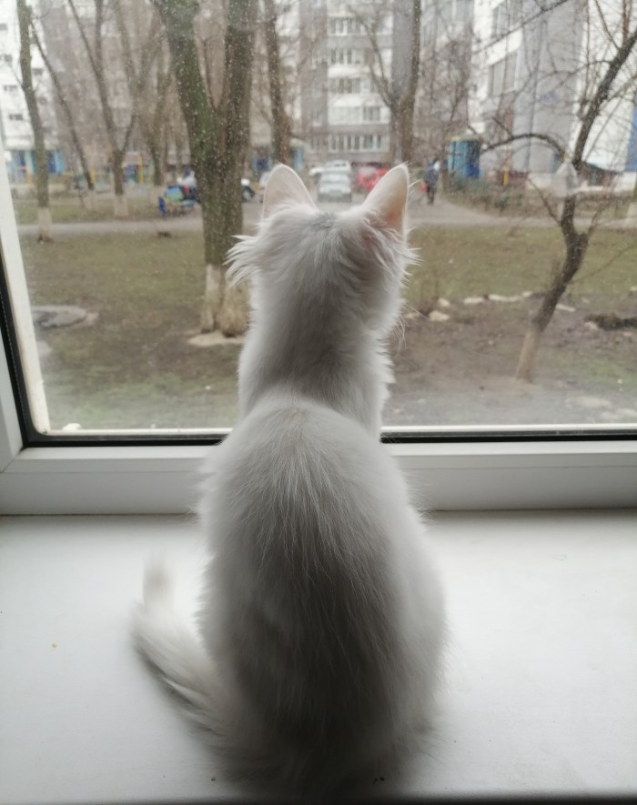 А у Вас какой вид из окна?