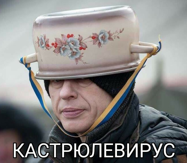Жители подмосковного города умилились объявлению о пропаже кота