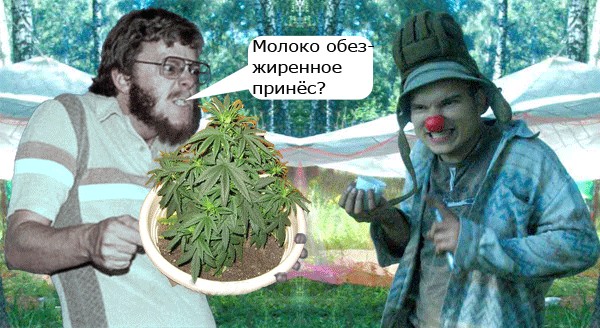 Фотожаба: Аццкий дирижер