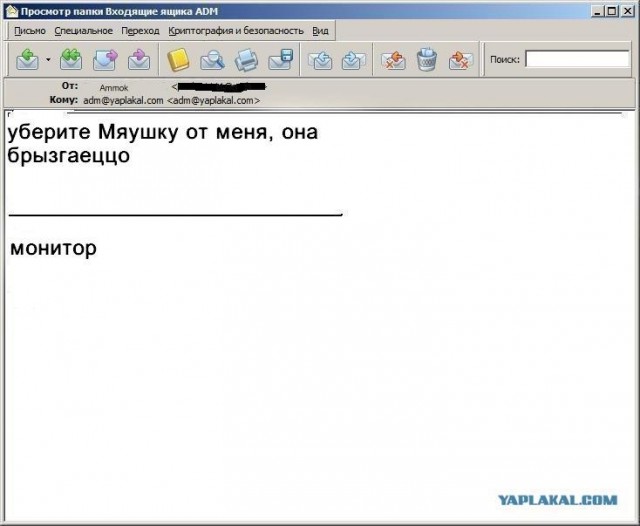 Почему меня забанили на ЯПлакалъ?