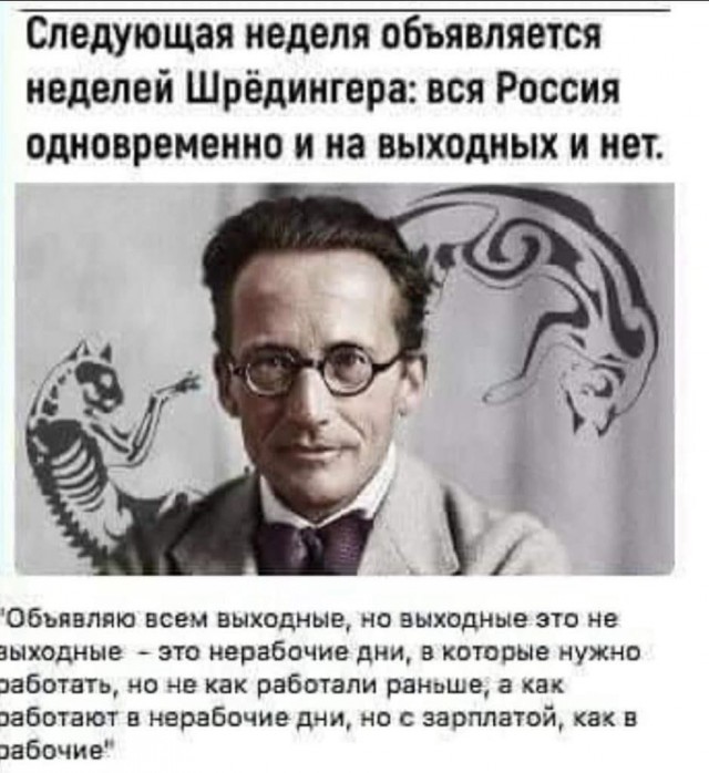 На злобу дня