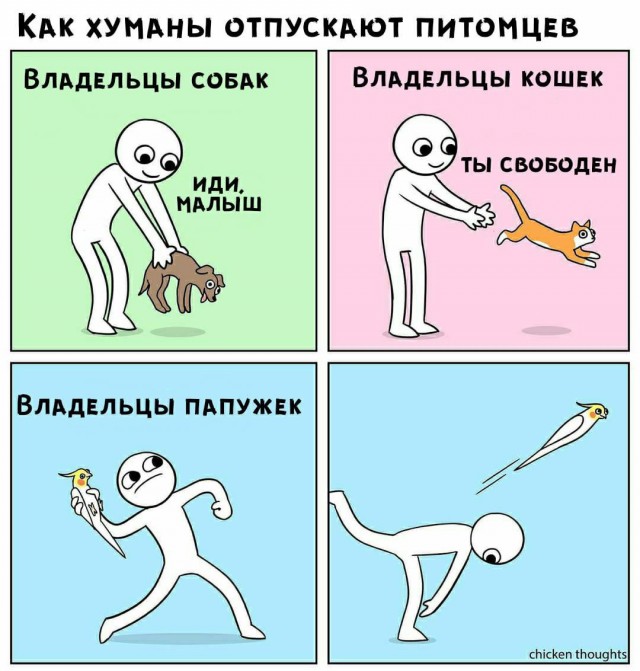 ПозитиФ Чик