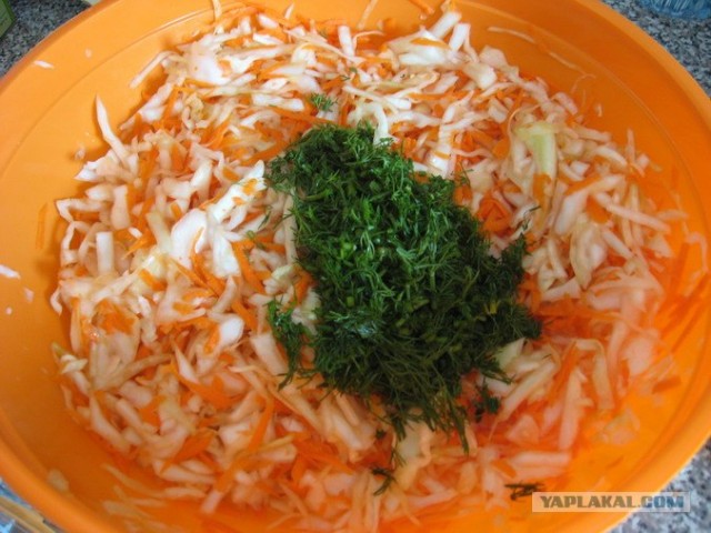 Капуста International, Наступила осень, отцвела капуста...