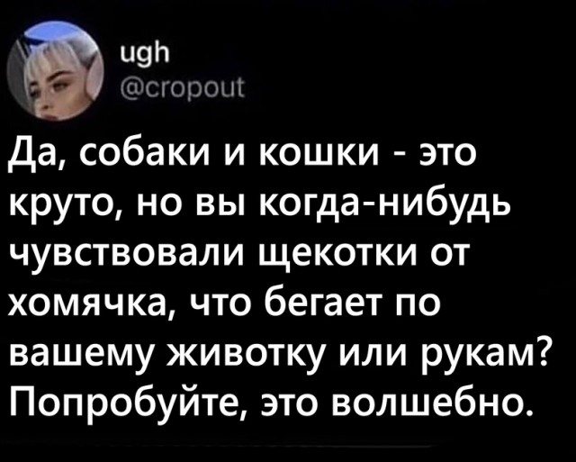 Картинки и мемы для настроения 28.06.2021