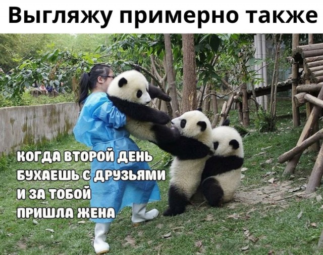 Так себе картинки 10.08.21