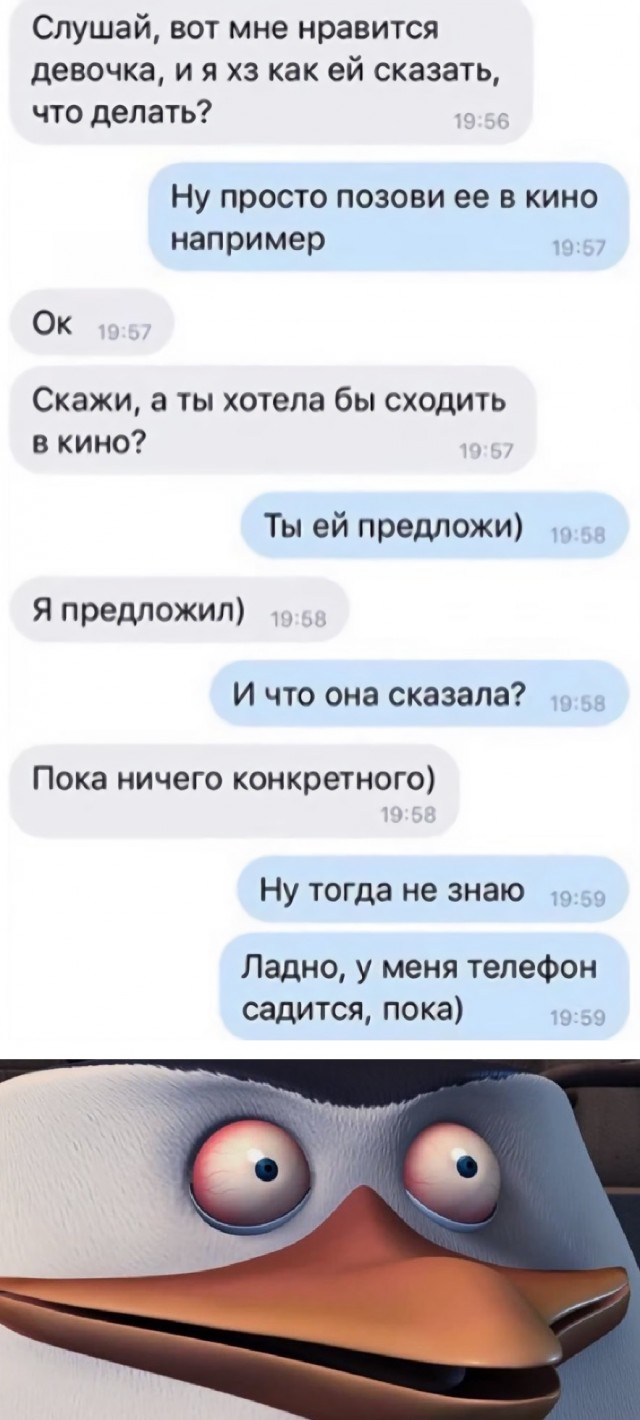 Весёлый полтишок 10.08
