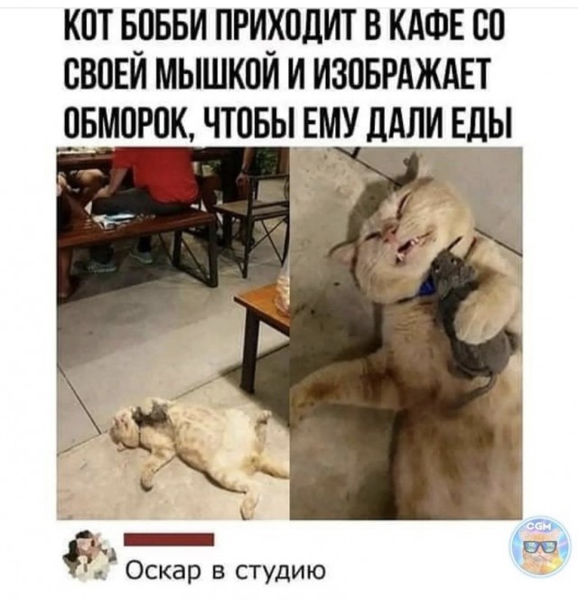 Так себе картинки 15.08.21