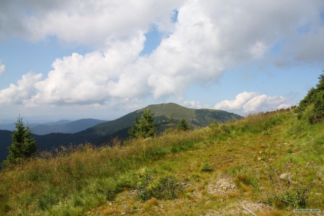 Карпаты, Закарпатье.