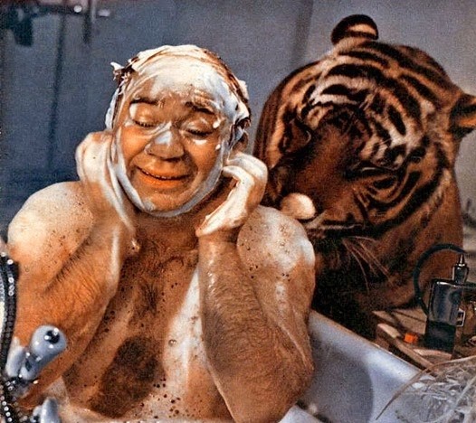 Самый «Полосатый рейс»