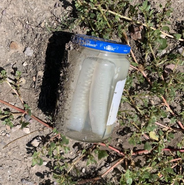 16 фотографий из разных сфер жизни, доходчиво объясняющих «Что будет, если…»