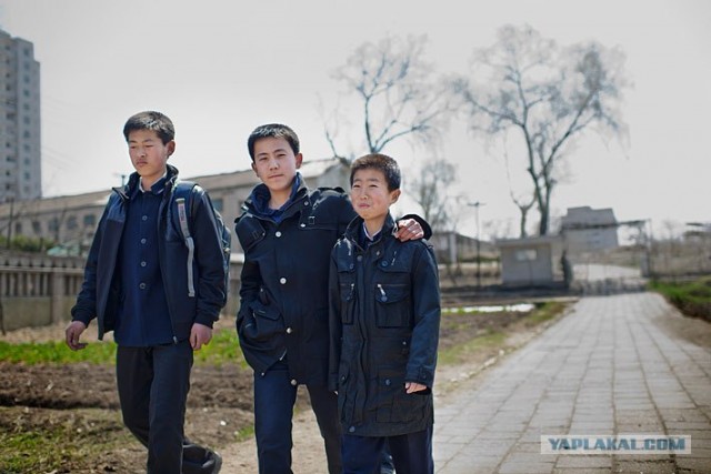 Северная Корея "в цвете"