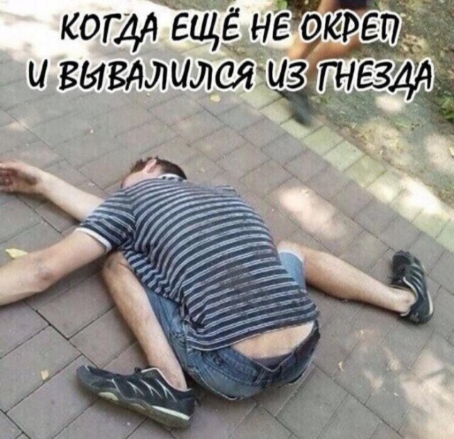 Картинки и мемы для настроения - 15