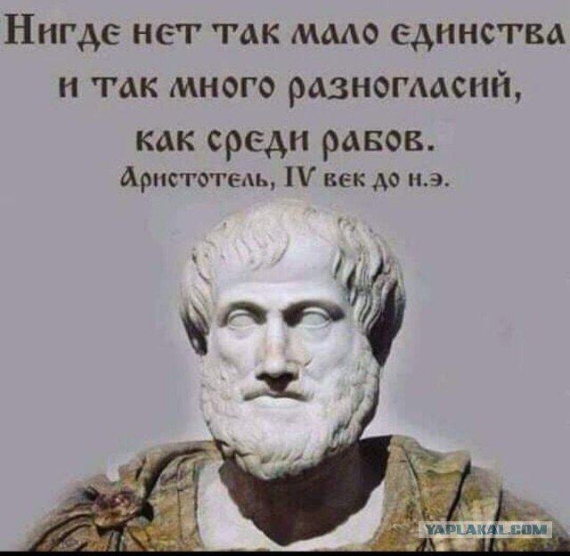 Пандемия съехавших крыш - разновидности болезни. Россия и мир. Часть 39.