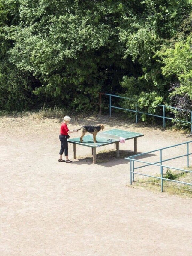 Будни теннисного стола