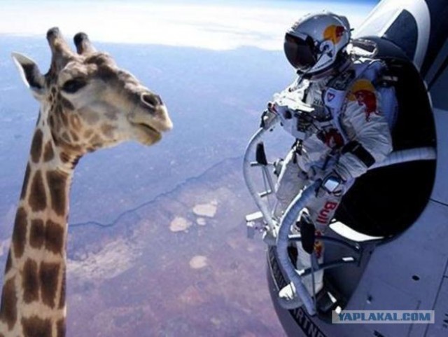 Фотожаба - прыжок Баумгартнера