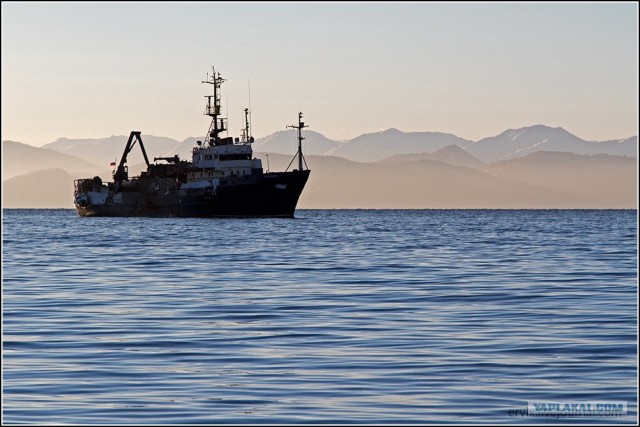 Петропавловск-Камчатский и его окрестности...