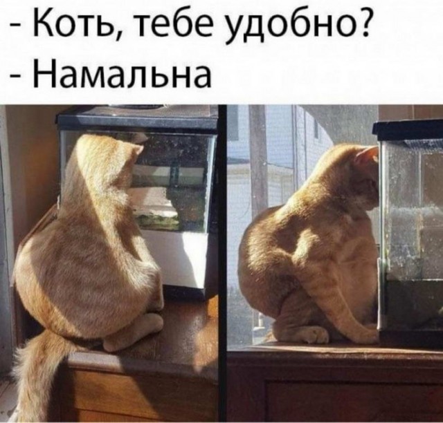 Прикольные и просто красивые картинки 15.11.22