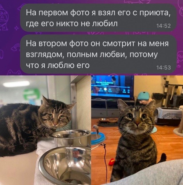 Немного картинок для настроения - 151