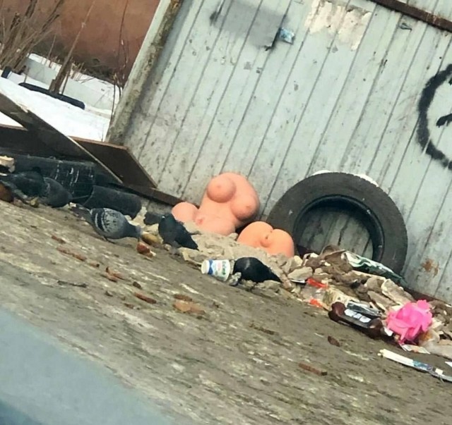 Юмор в картинках и без