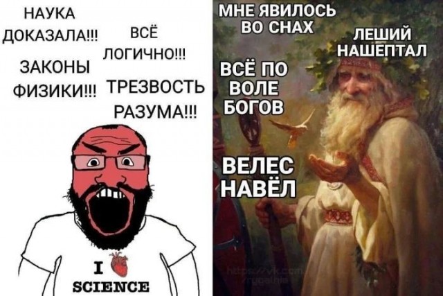 Приколы с налетом деградации