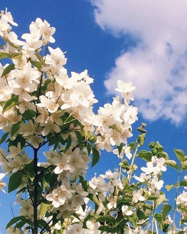 Снова смеркалось