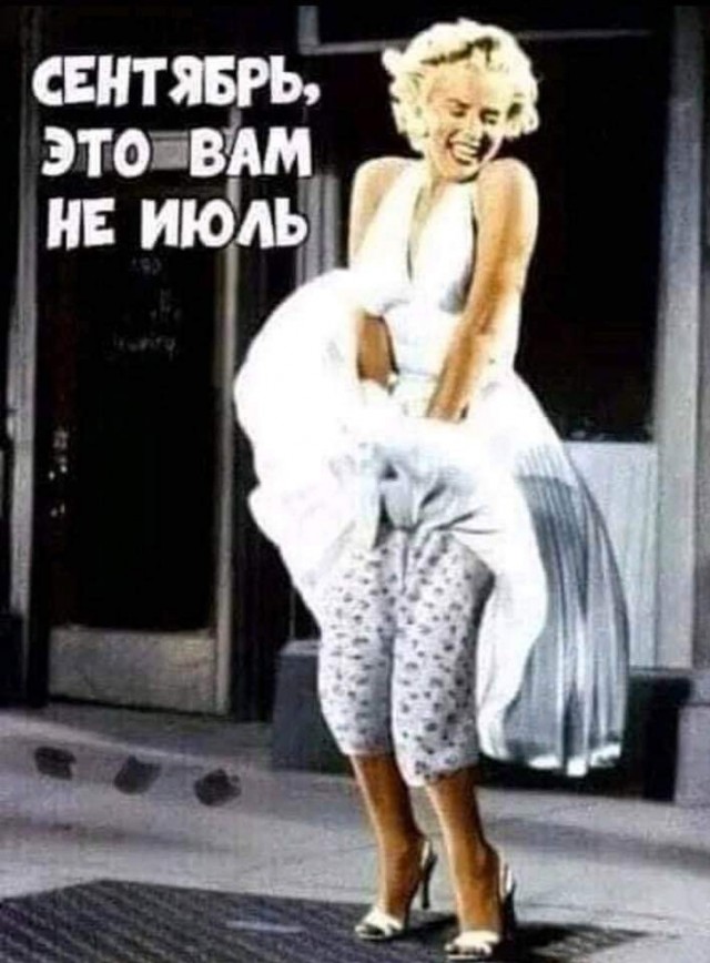 Весёлый полтишок 19.09.24