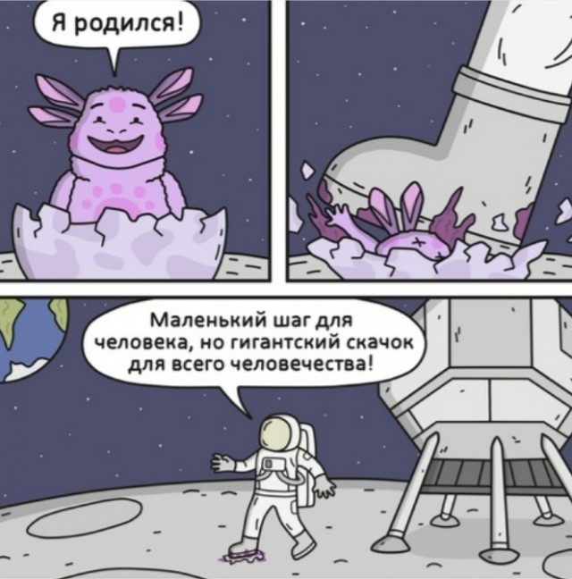 Так себе картинки 09.10.24
