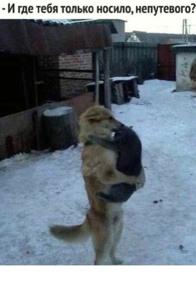 Так себе картинки 03.03.25