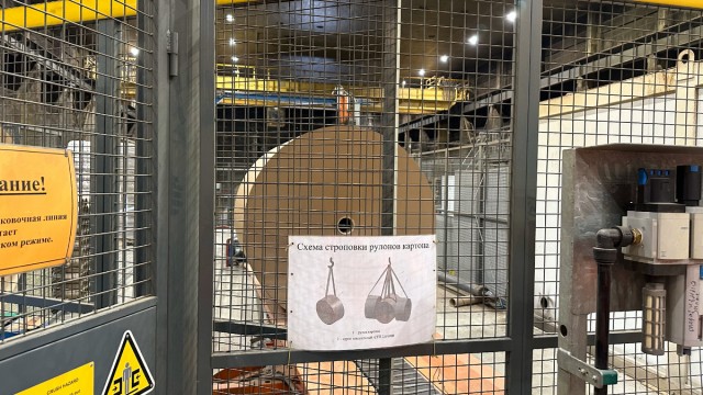 Из дерева в тетрадку: Как тайга превращается в тонны бумаги и уходит на экспорт
