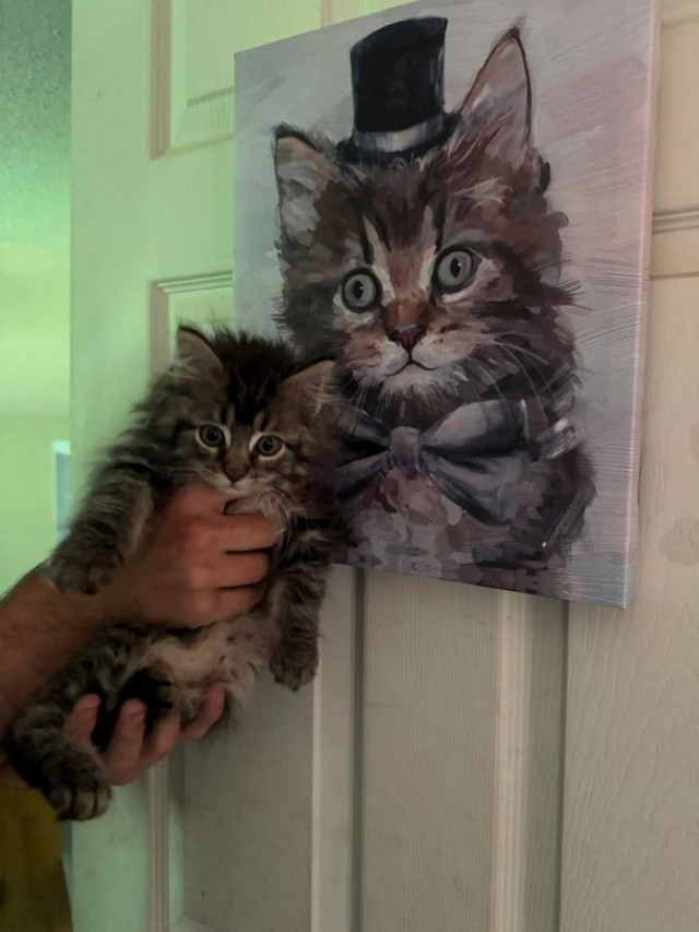 ФотоВинегрет