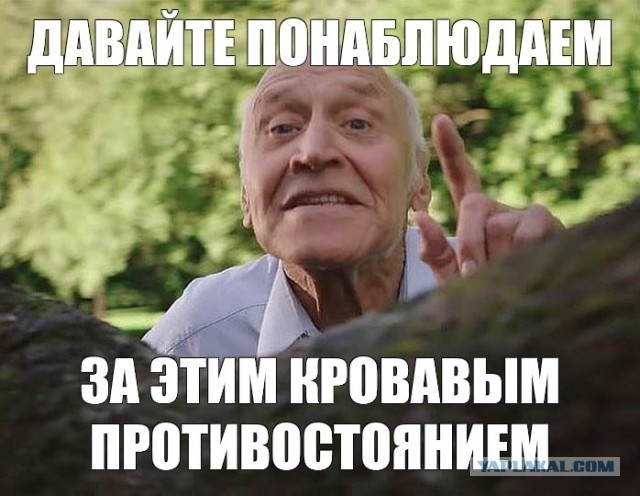 Вот где веселуха