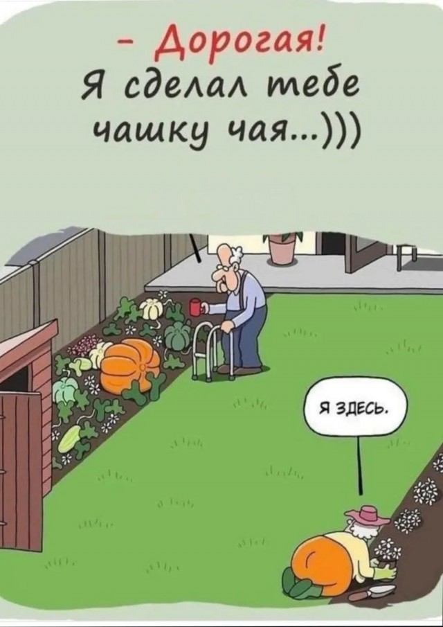 Сажаем, растим, собираем урожай…