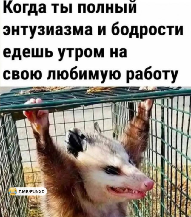 Дорога на работу