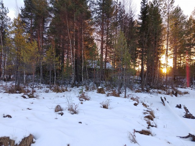 Аренда и собственность